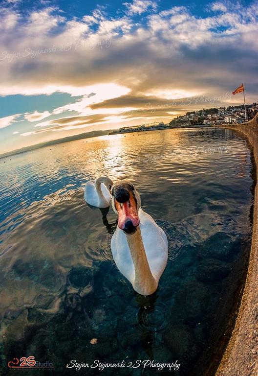 New Studio 70M To The Lake Ohrid Exterior photo